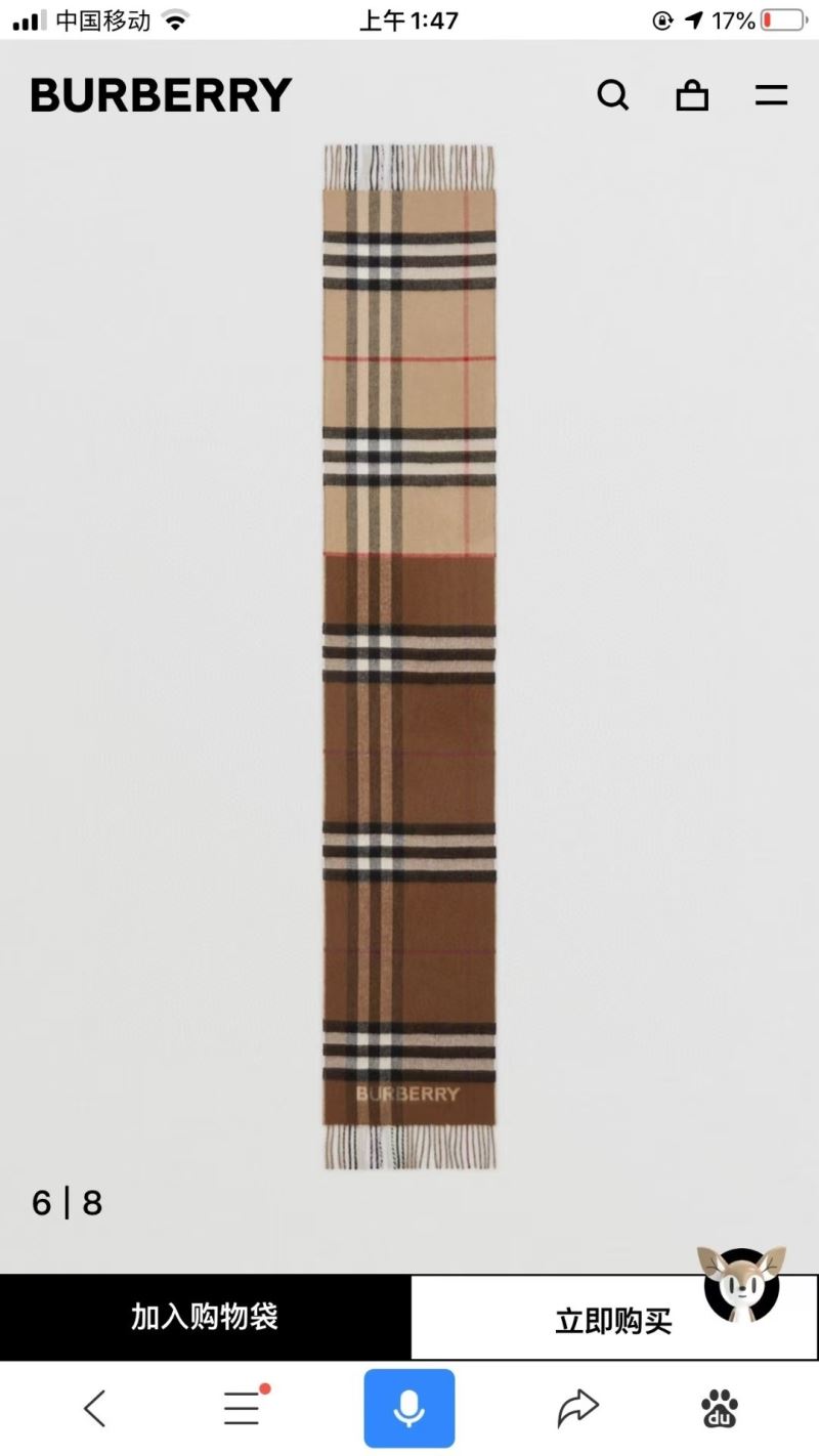 Burberry Scarf